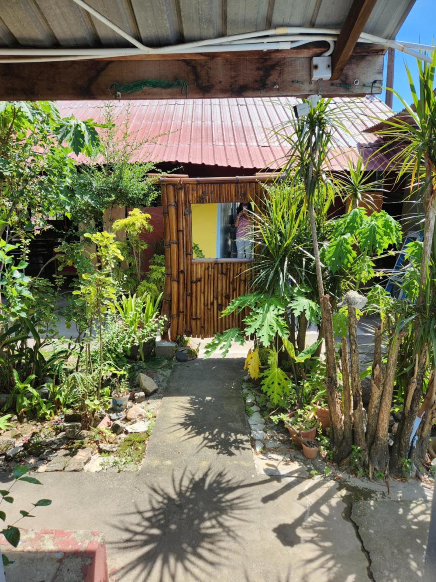 Gecko Guesthouse Pantai Cenang  Esterno foto